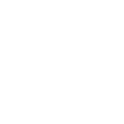 EVOLIA emblem